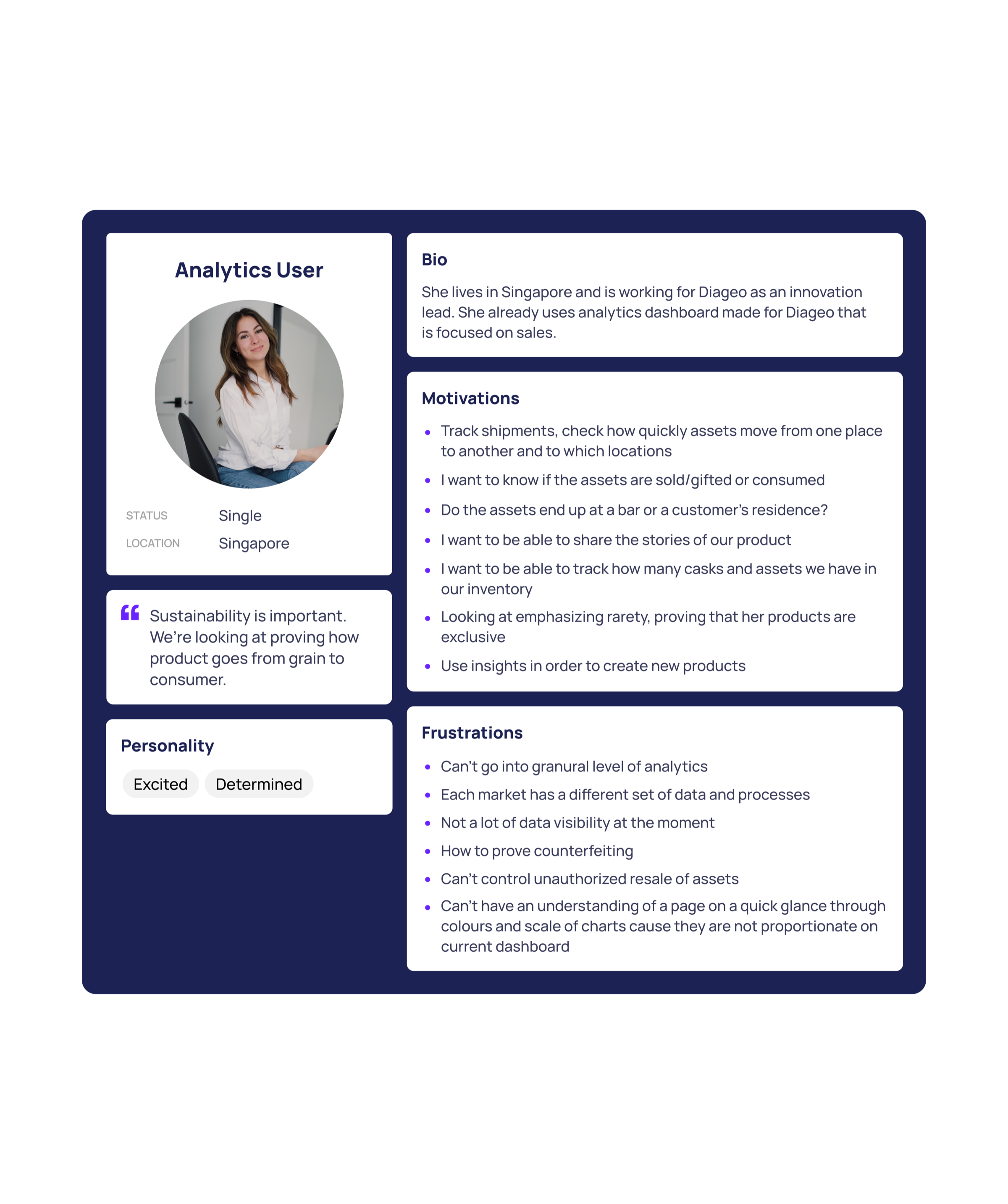 Analytics persona