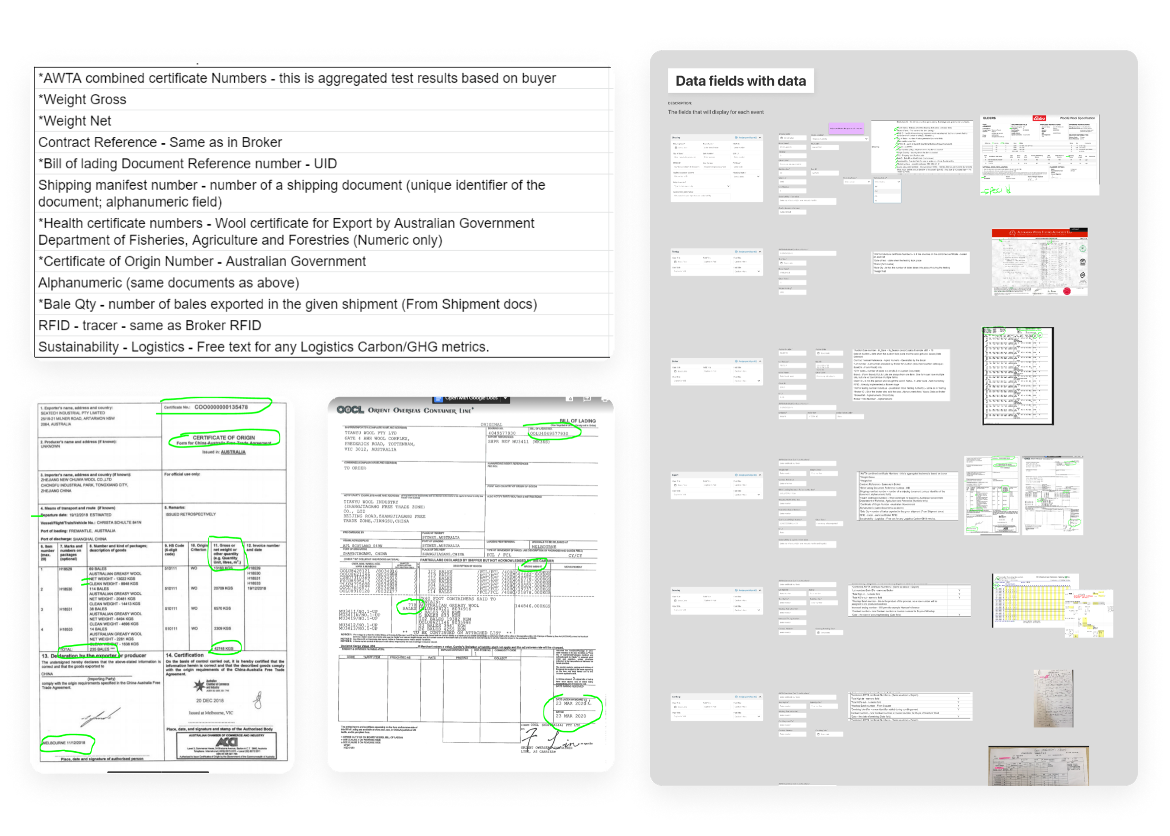 Data fields